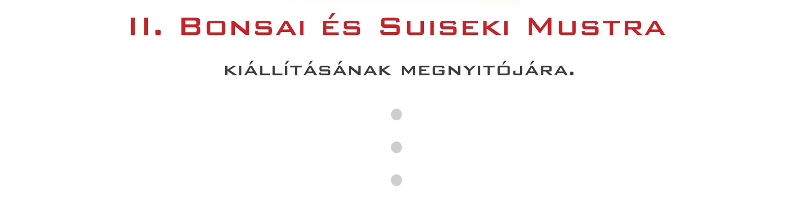 2 bonsai es suiseki mustra bonsaj es suiseki kiallitas meghivo